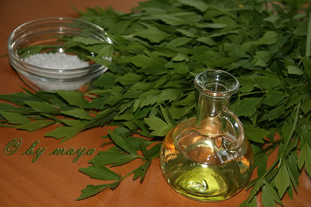 patadeleustean1