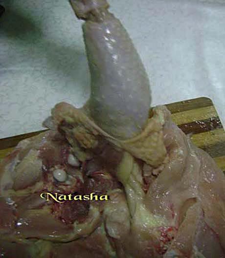 RuladaPui09