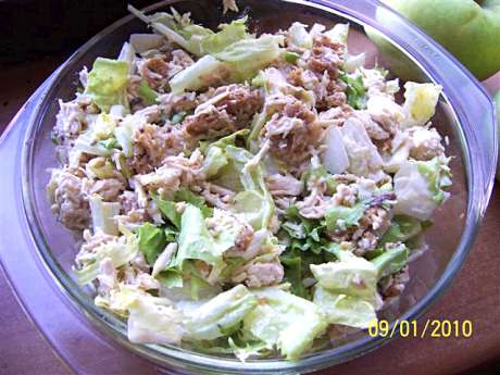 SalataCaes01-460