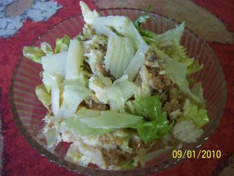 SalataCaes11-460
