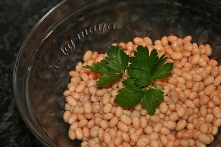 salatafasoleton1