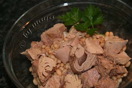 salatafasoleton2