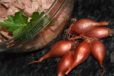 salatafasoleton3