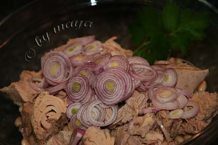 salatafasoleton4