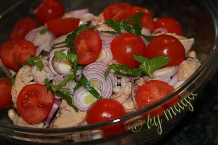 salatafasoleton5
