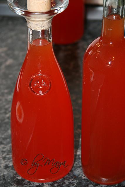 sirop_de_citrice_13