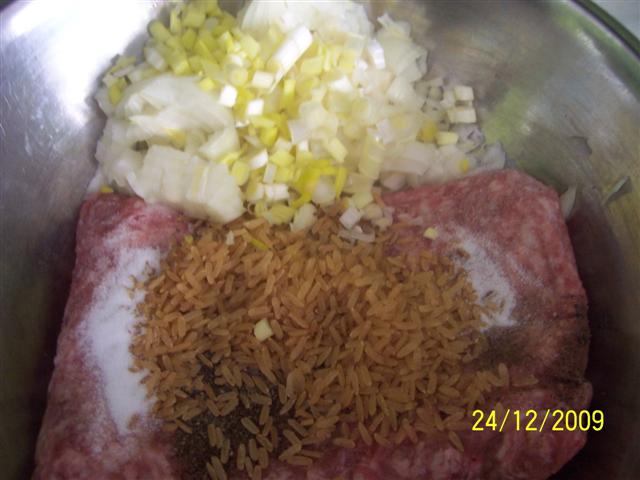 CALTABOS_sau_GALBASCARTABOS_2