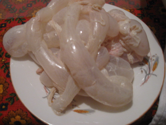 Chisca_cu_hrisca_-_caltabos_de_Bucovina_14