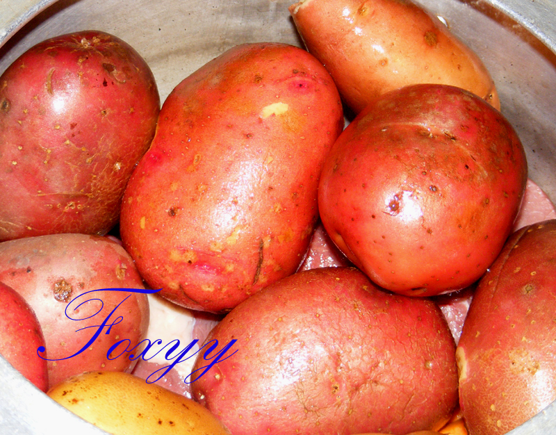 Salata_de_Boeuf_2