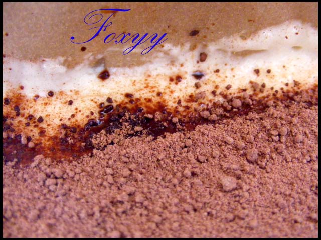 Tiramisu_13