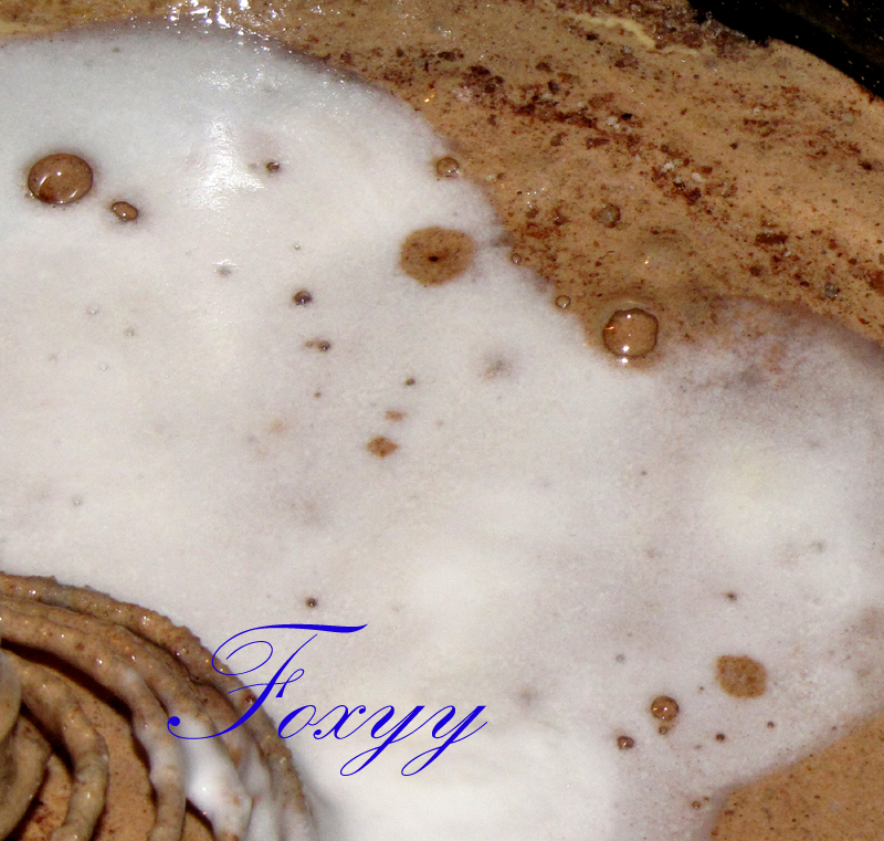 Tort_de_nuci_7
